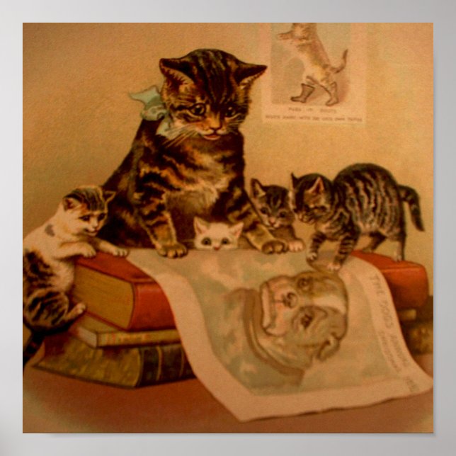 Affiche Antique Kittens & Books Kitty School (Devant)