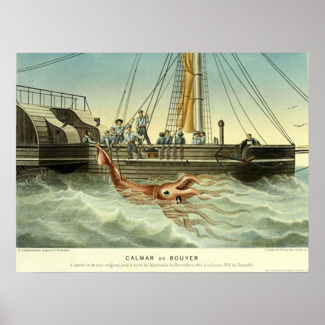 Affiche Antique Navire Capturer des calamars géants (Devant)
