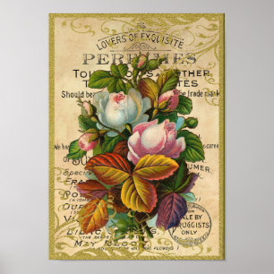 Affiche Antique Roses Perfume Butterflies