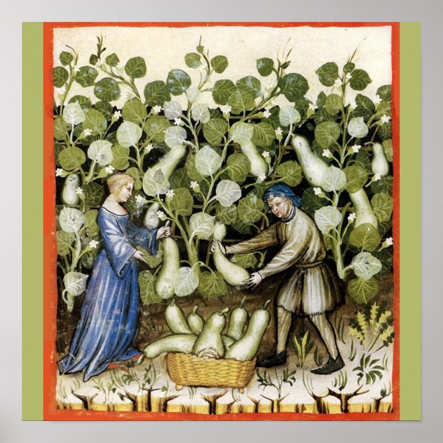 AFFICHE ANTIQUE SQUASH HARVEST (Devant)