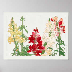 Affiche Antirrhinum majus par Tanigami Konan