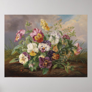 Affiche Anton Mollis Vintage Pansy