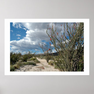 Affiche Anza Borrego - la fleur