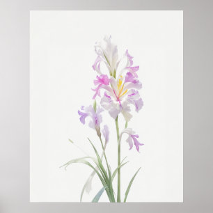 Affiche Août Gladiolus Fleur de naissance