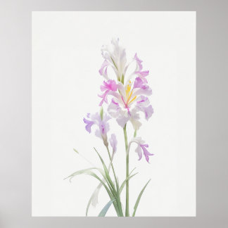 Affiche Août Gladiolus Fleur de naissance