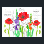 Affiche Août Poppies d'anniversaire Gladiolus Fleur de nai<br><div class="desc">Une affiche botanique sur le thème des fleurs du mois de naissance pour août, des pavots et des gladiolus, illustrés de crayon et d'aquarelle. On y trouve les pierres de naissance, quelques caractéristiques de personnalité amusantes pour ceux nés en août et quelques symboles des fleurs de la langue victorienne des...</div>