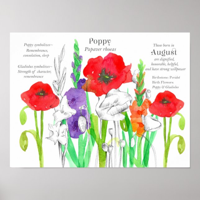 Affiche Août Poppies d'anniversaire Gladiolus Fleur de nai (Devant)