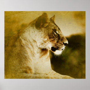 Affiche *~* AP23 Aquarelle Artistique Golden LIONESS Artsy