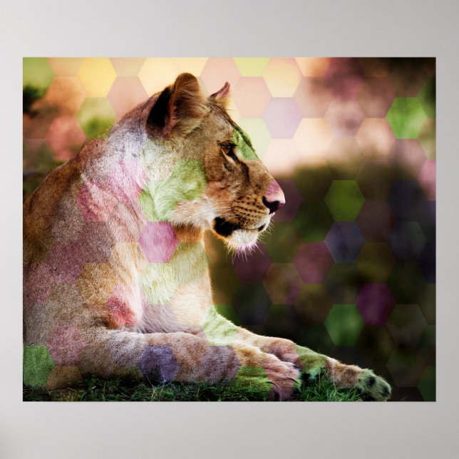 Affiche *~* AP23 Art Abstrait LIONESS RAINBOW artistique (Devant)