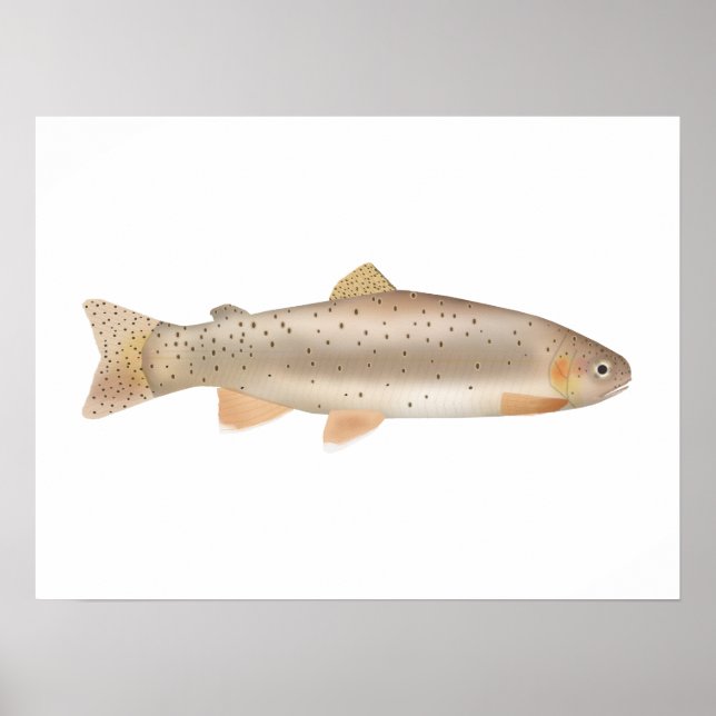 Affiche Apache Trout (Devant)