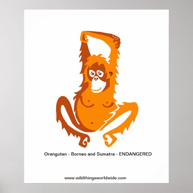 Affiche Ape - ORANGUTAN - Animal en voie de disparition (Devant)