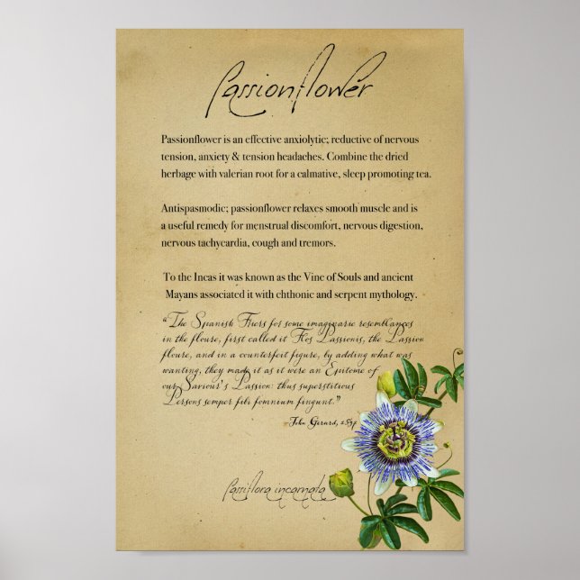 Affiche Apothécaire de plantes : Passionflower | Poste bot (Devant)