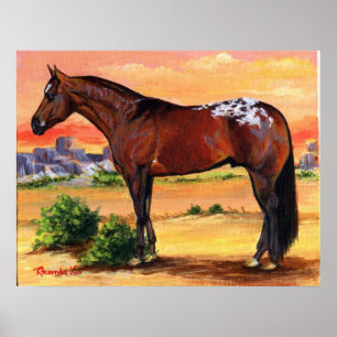 Affiche Appaloosa Profil Cheval Portrait