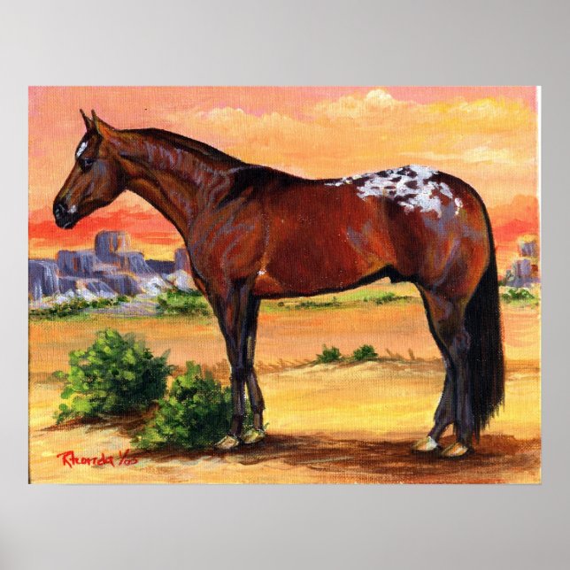 Affiche Appaloosa Profil Cheval Portrait (Devant)