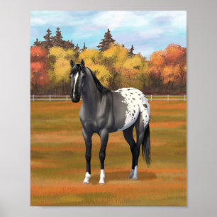 Affiche Appaloosa Quarter Horse Étalon Gris Grulla