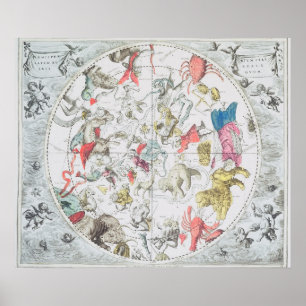 Affiche Apparence céleste les signes du zodiaque