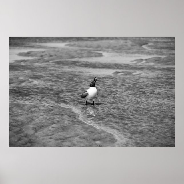 Affiche Appel (Devant)