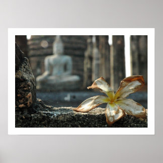 Affiche appeler la terre à témoigner