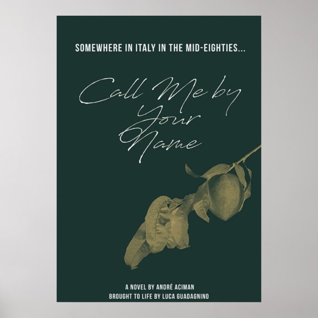 Affiche Appelez-moi par votre nom 2 (Devant)