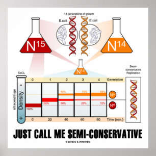 Affiche Appelez-Moi Semi-Conservateur (Réplication De L'AD