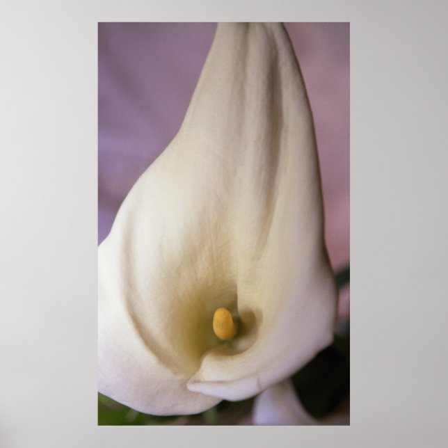 Affiche Appels (Devant)