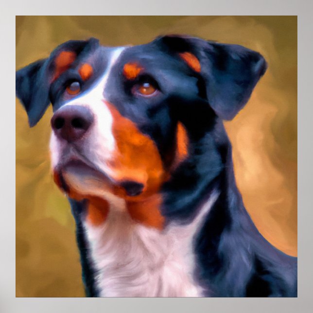 Affiche Appenzeller Sennenhund - Portrait de chien (Devant)