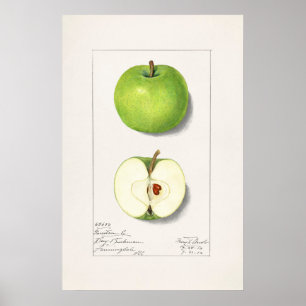 Affiche Apple