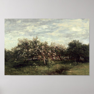 Affiche Apple Orchard Paysage Art Imprimer Pays Vintage