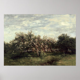 Affiche Apple Orchard Paysage Art Imprimer Vert foncé