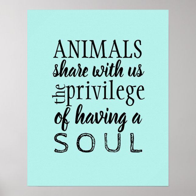 Affiche Appréciation animale (Devant)