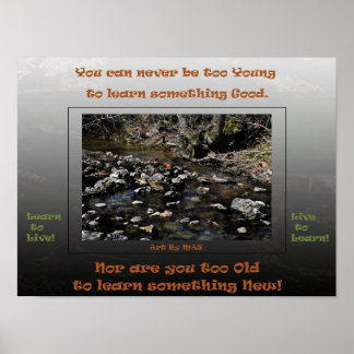 Affiche Apprendre à vivre en direct pour apprendre 2