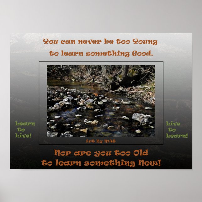 Affiche Apprendre à vivre en direct pour apprendre 2 (Devant)