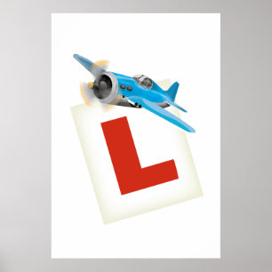 Affiche Apprendre à voler