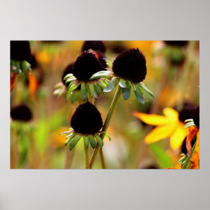 Affiche Approches d'automne
