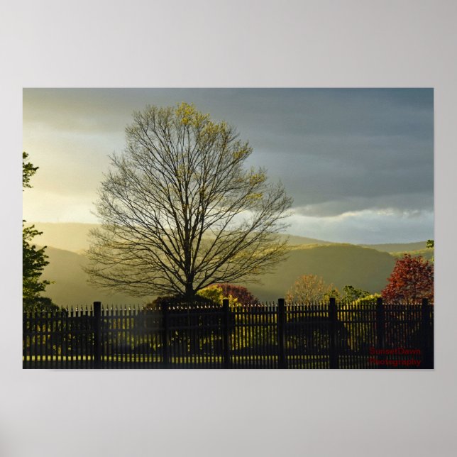 Affiche Après la pluie (Devant)