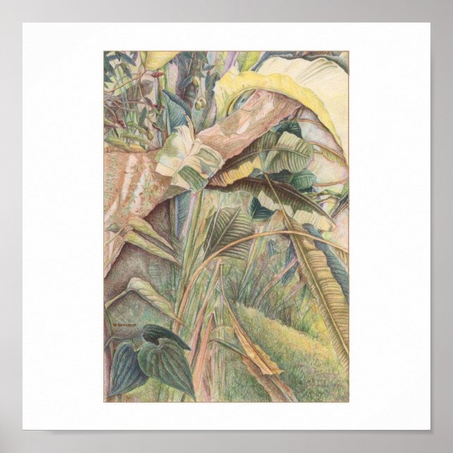 Affiche Après la pluie © 2010 (Devant)