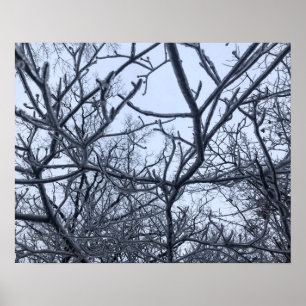 Affiche Après La Tempête De Glace