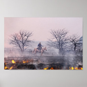 Affiche Après le feu des Prairies, Flint Hills, Kansas