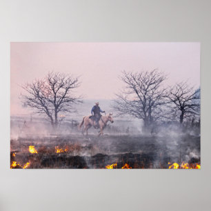 Affiche Après l'incendie de la prairie, Flint Hills, Kansa