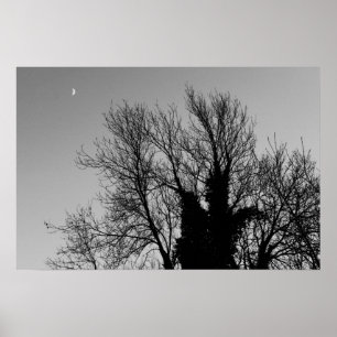 Affiche Après-midi médiéval d'hiver