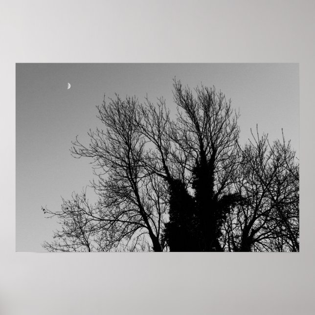 Affiche Après-midi médiéval d'hiver (Devant)