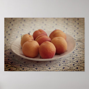 Affiche Apricots sur plaque