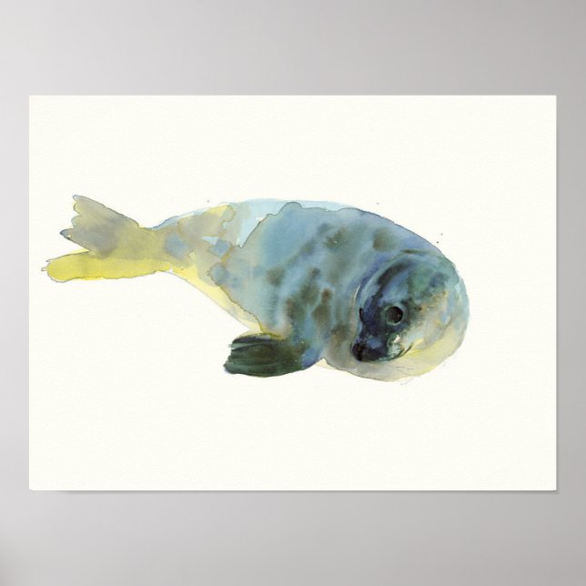 Affiche Aqua Green (Devant)