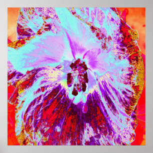 Affiche Aqua tropicale Abstraite et fleur d'Hibiscus pourp