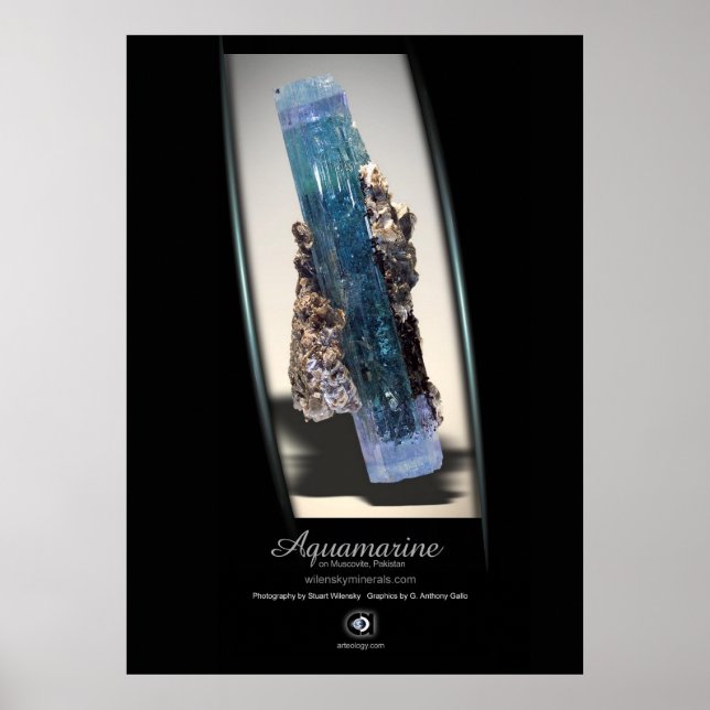 AFFICHE AQUAMARINE MUSCOVITE (Devant)