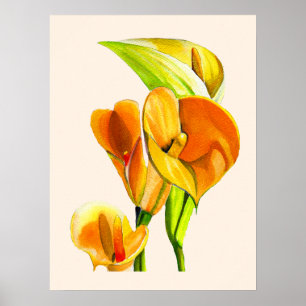 Affiche Aquarelle à fleurs de calla