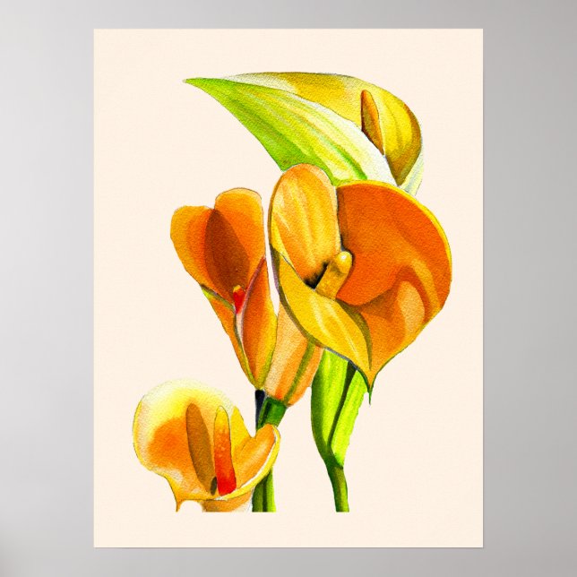 Affiche Aquarelle à fleurs de calla (Devant)