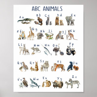 Affiche Aquarelle Abc Animaux