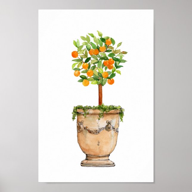 Affiche Aquarelle Arbre orange topiaire en urne antique (Devant)
