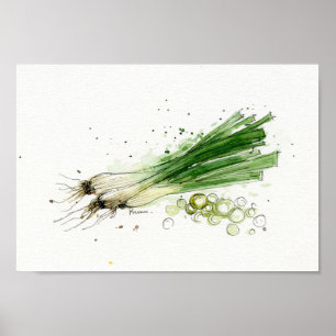 Affiche Aquarelle, art végétal de cuisine de poireaux
